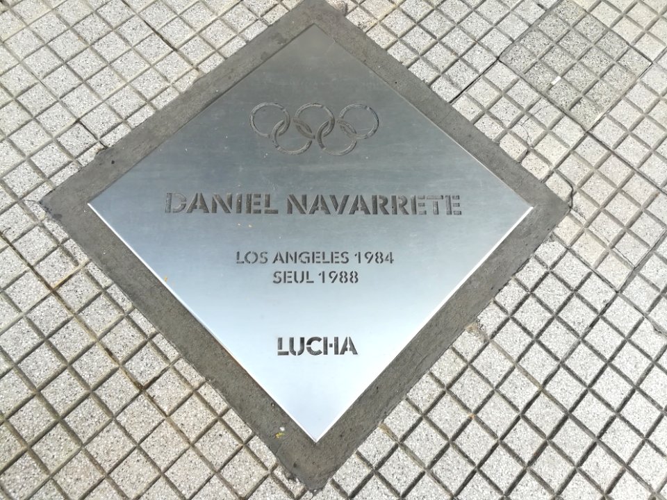 Paseo de los Olímpicos Rosario 2019 139