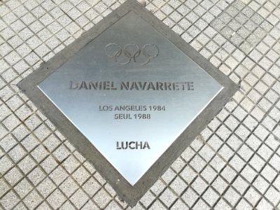 Paseo de los Olímpicos Rosario 2019 139
