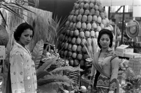 Pasar Malam in de RAI, Bestanddeelnr 926-4488