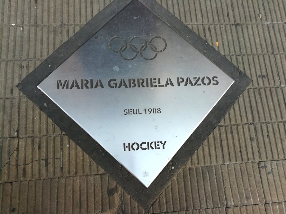 Paseo de los Olímpicos Rosario 2019 135