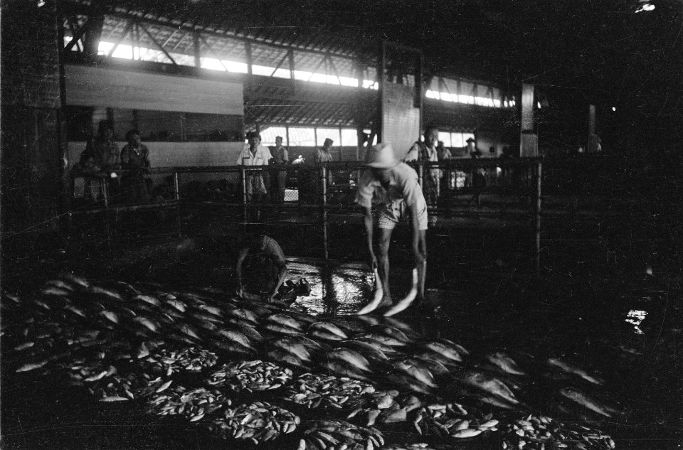 Pasar Ikan Vismarkt Batavia, Bestanddeelnr 512-4-2