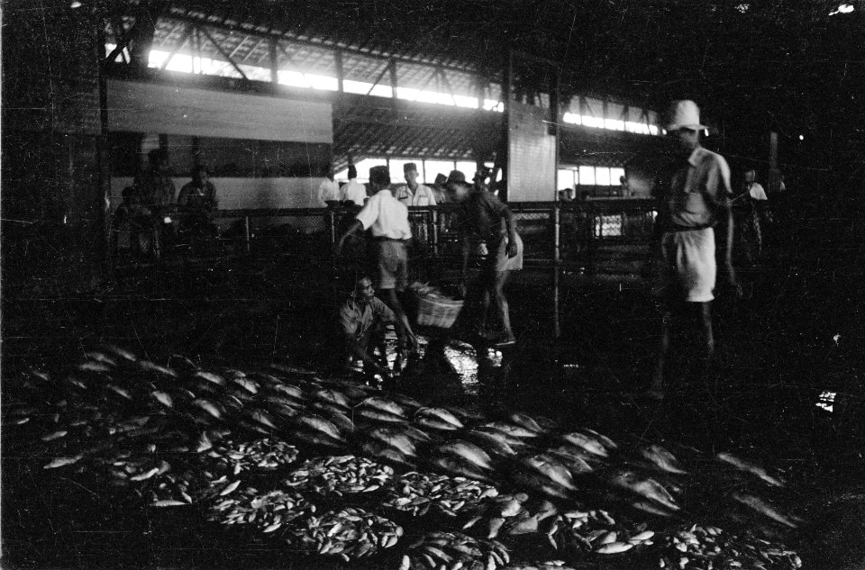 Pasar Ikan Vismarkt Batavia, Bestanddeelnr 512-4-3