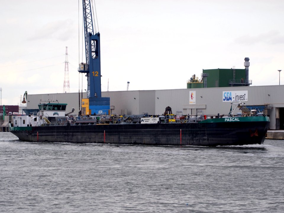 Pascal (ship,1990), ENI 02319238, Port of Antwerp