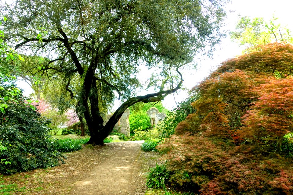 Path - Giardino di Ninfa, Italy - DSC03135