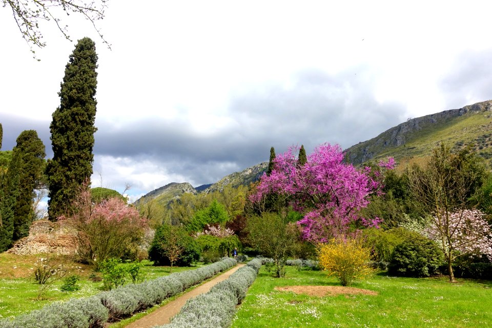 Path - Giardino di Ninfa, Italy - DSC03034