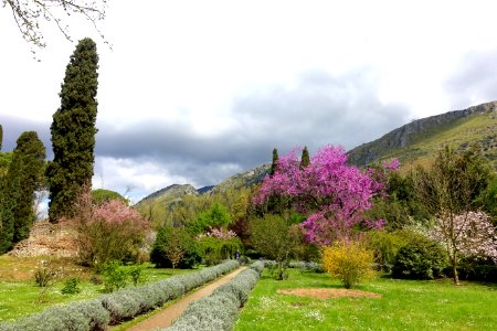 Path - Giardino di Ninfa, Italy - DSC03034
