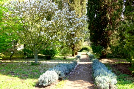 Path - Giardino di Ninfa, Italy - DSC02971 photo