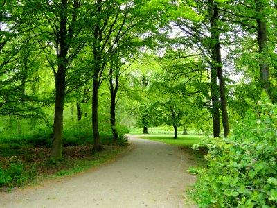 Path - Frederiksberg Have - Copenhagen - DSC08917