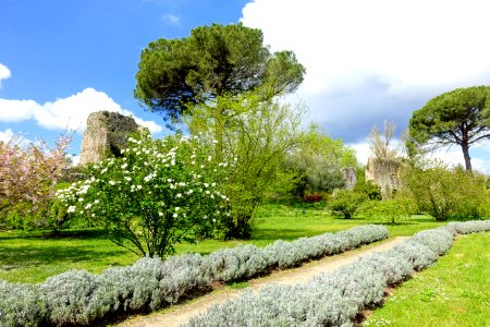 Path - Giardino di Ninfa, Italy - DSC03019 photo