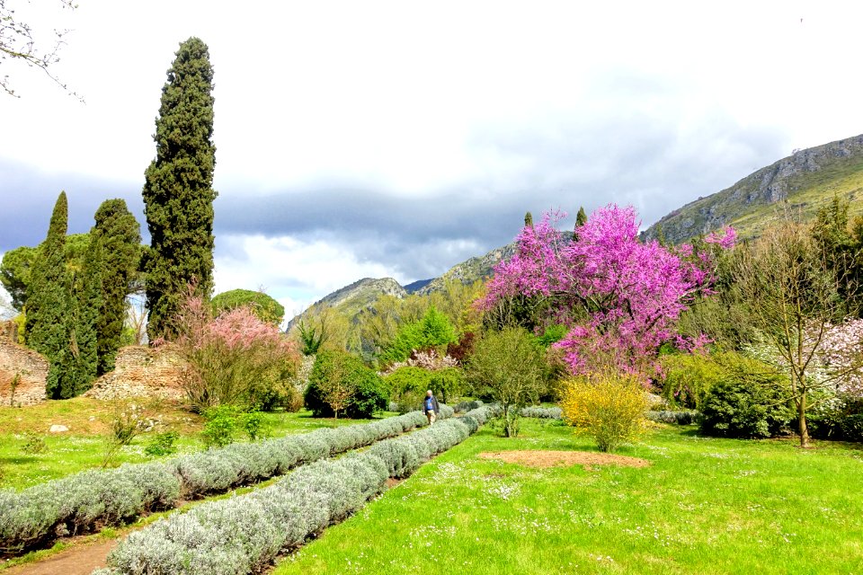 Path - Giardino di Ninfa, Italy - DSC03037