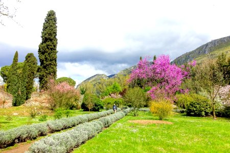 Path - Giardino di Ninfa, Italy - DSC03037