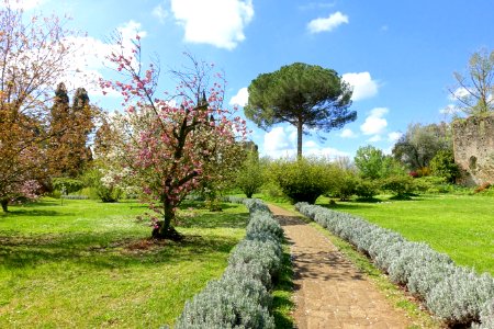 Path - Giardino di Ninfa, Italy - DSC02967 photo