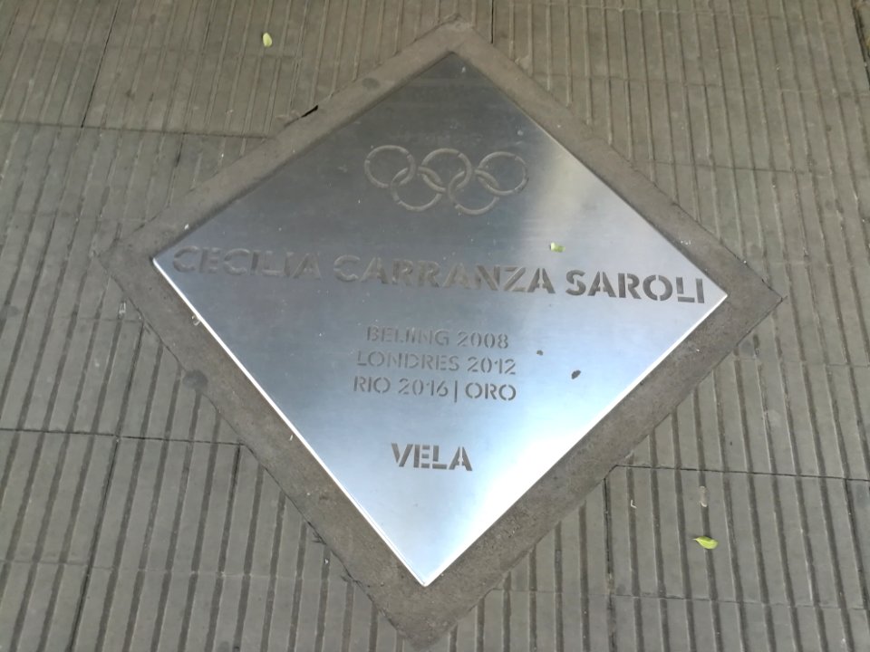 Paseo de los Olímpicos Rosario 2019 106