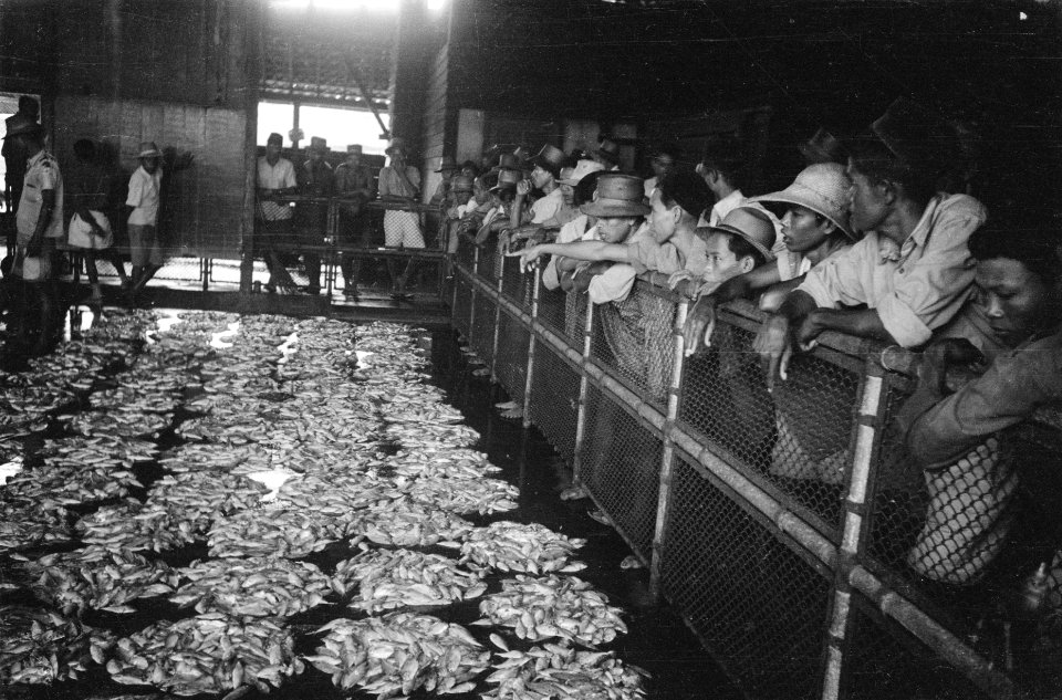 Pasar Ikan Vismarkt Batavia, Bestanddeelnr 512-2-1