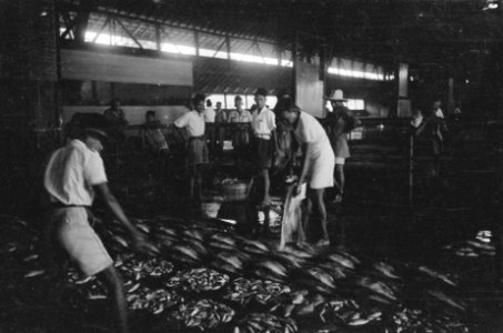 Pasar Ikan Vismarkt Batavia, Bestanddeelnr 512-4-4