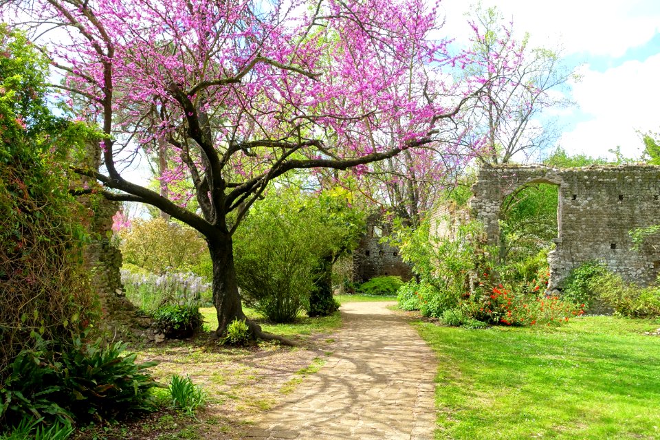 Path - Giardino di Ninfa, Italy - DSC03123