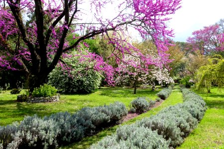 Path - Giardino di Ninfa, Italy - DSC03026