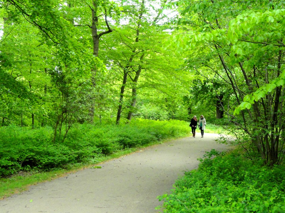 Path - Frederiksberg Have - Copenhagen - DSC09189