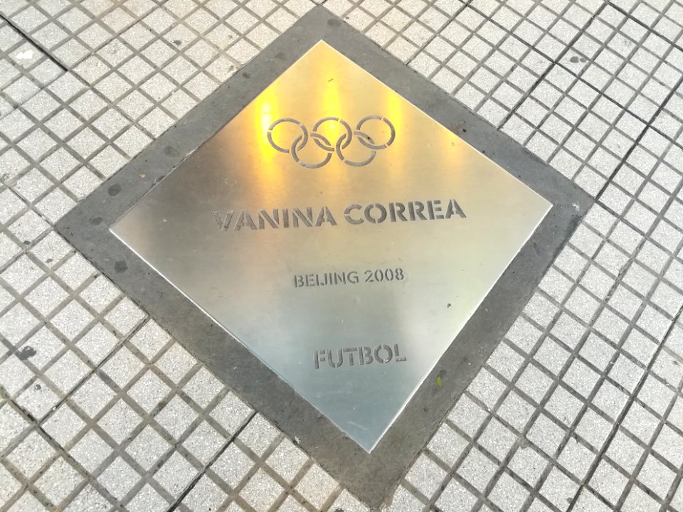 Paseo de los Olímpicos Rosario 2019 112