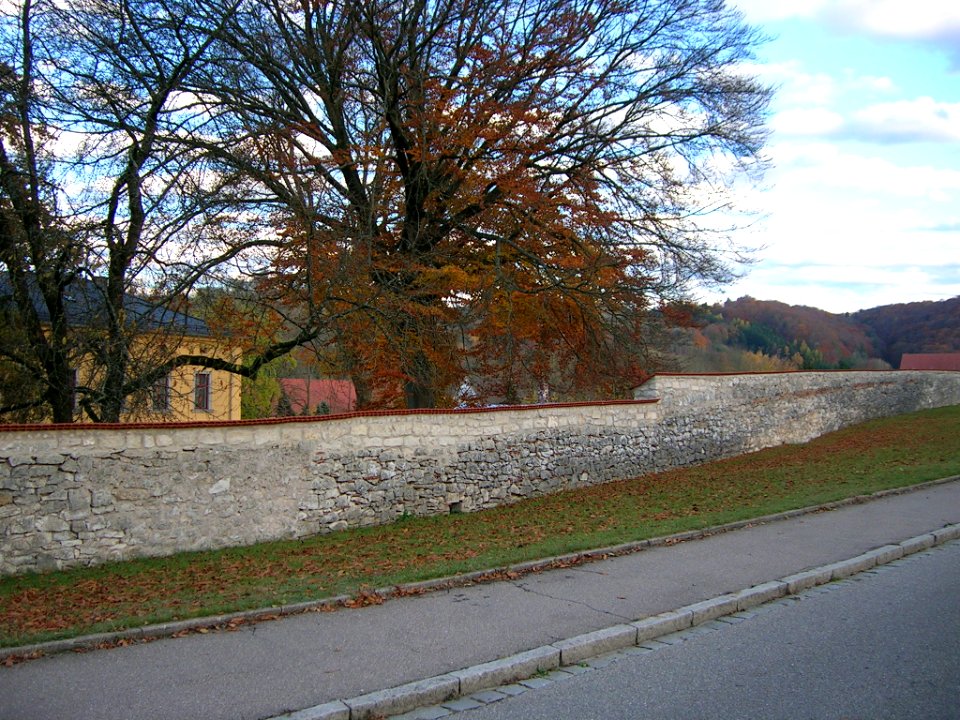 Pater-Moser-Str 12 Rebdorf -Einfriedungsmauer (6)