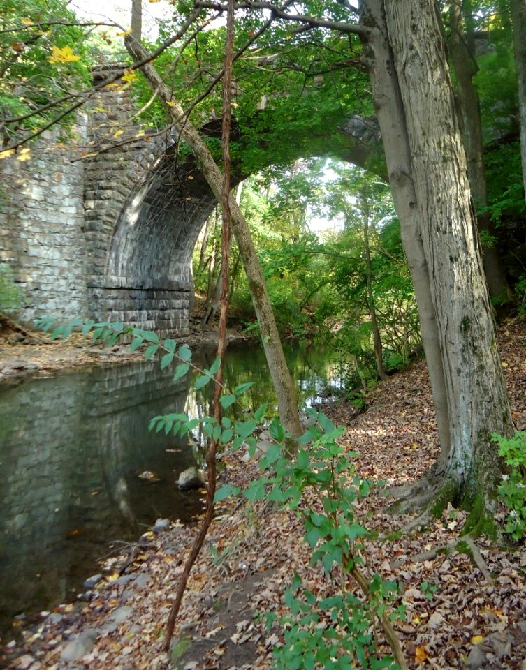 Passaic River flowing under train arch