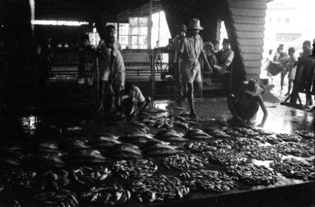 Pasar Ikan Vismarkt Batavia, Bestanddeelnr 512-4-6