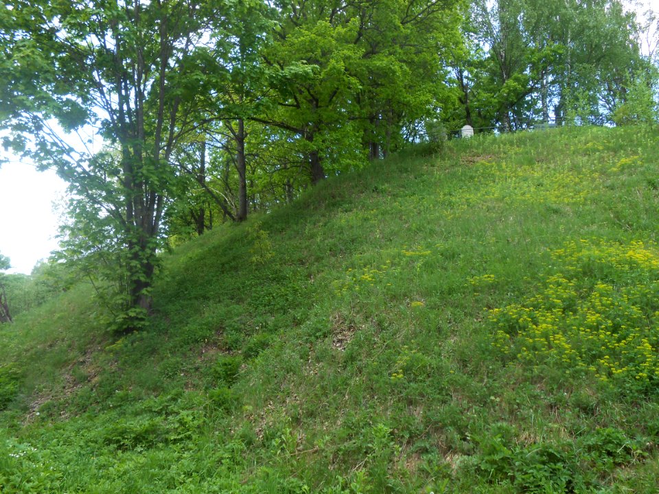 Pasovo Cemetery - 04