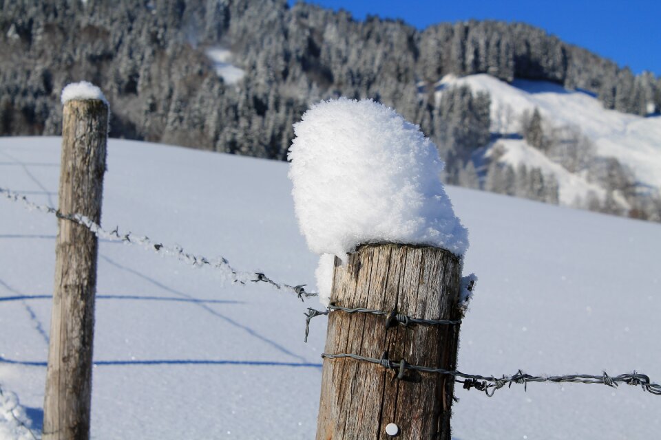 Snow fence bare wired