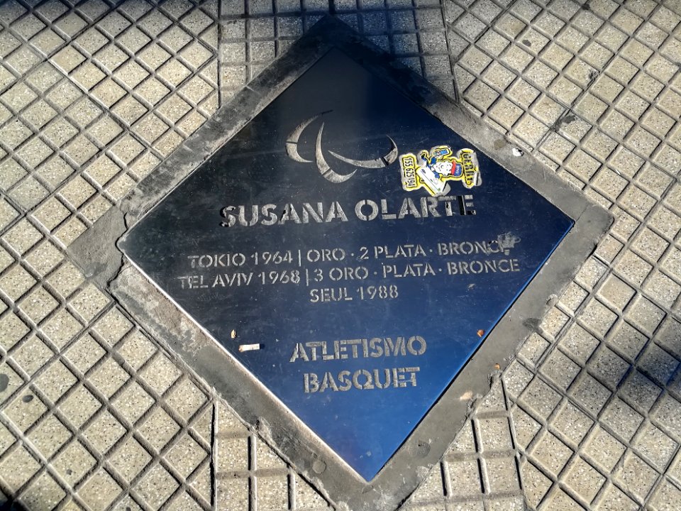 Paseo de los Olímpicos Rosario 2019 21