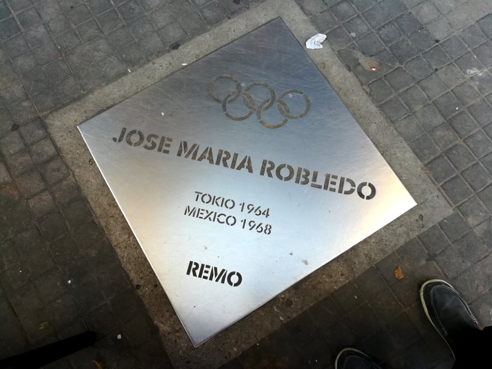 Paseo de los Olímpicos Rosario 2019 27
