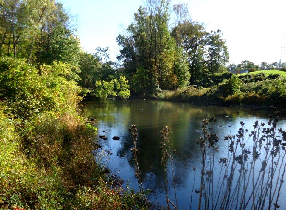Passaic River between Summit and Chatham New Jersey