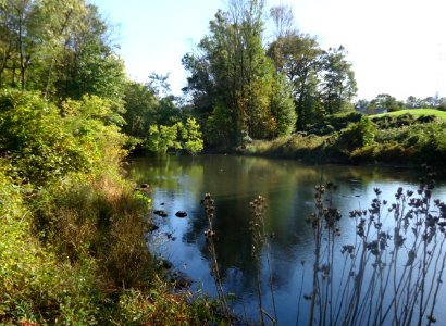 Passaic River between Summit and Chatham New Jersey