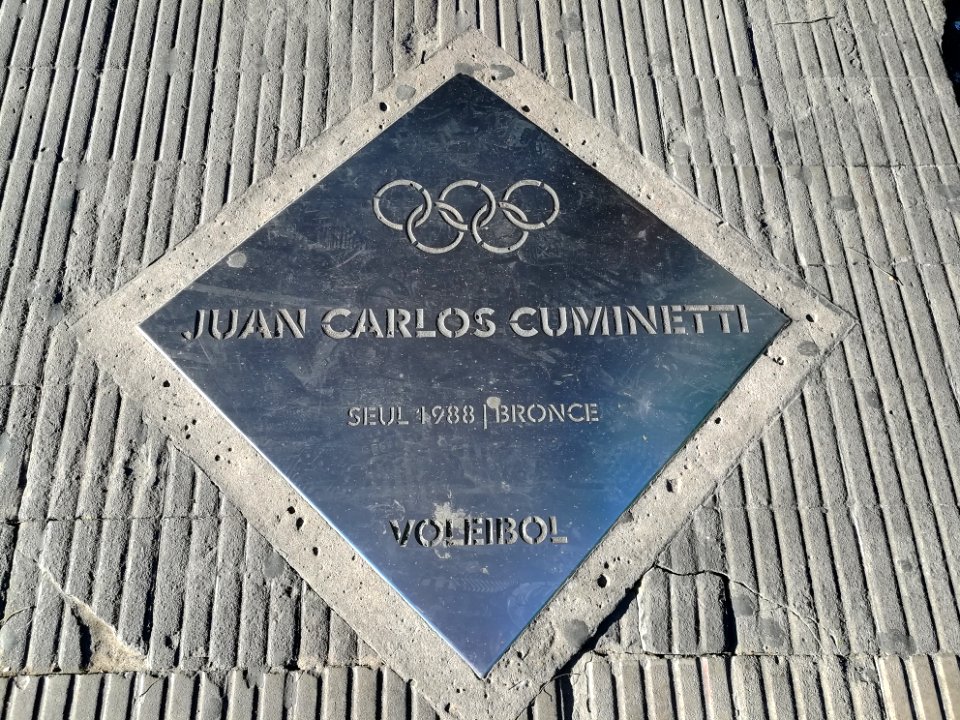 Paseo de los Olímpicos Rosario 2019 44