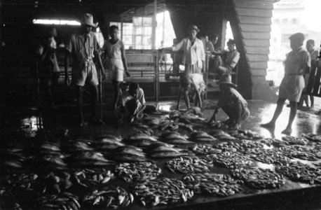 Pasar Ikan Vismarkt Batavia, Bestanddeelnr 512-4-5