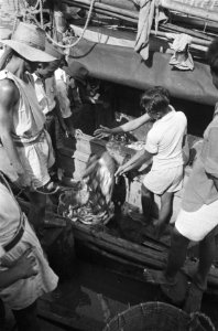 Pasar Ikan Vismarkt Batavia. Een vissersboot komt aan, Bestanddeelnr 512-5-3