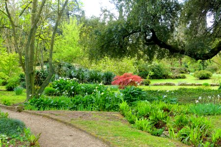 Path - Giardino di Ninfa, Italy - DSC03195