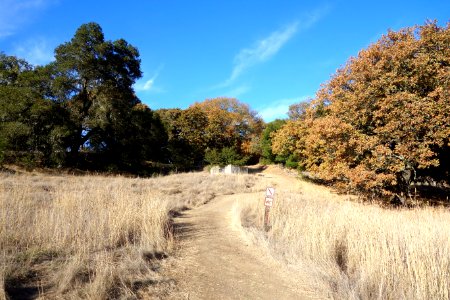 Path - Jack London State Historic Park - DSC03836