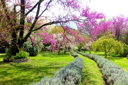Path - Giardino di Ninfa, Italy - DSC03023