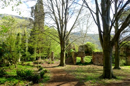 Path - Giardino di Ninfa, Italy - DSC02938