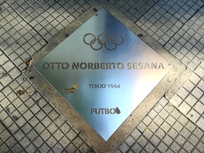 Paseo de los Olímpicos Rosario 2019 24