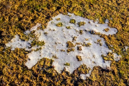 Patch of ice on grass