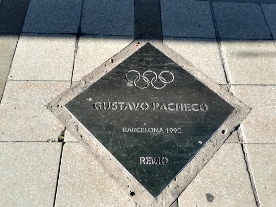 Paseo de los Olímpicos Rosario 2019 46