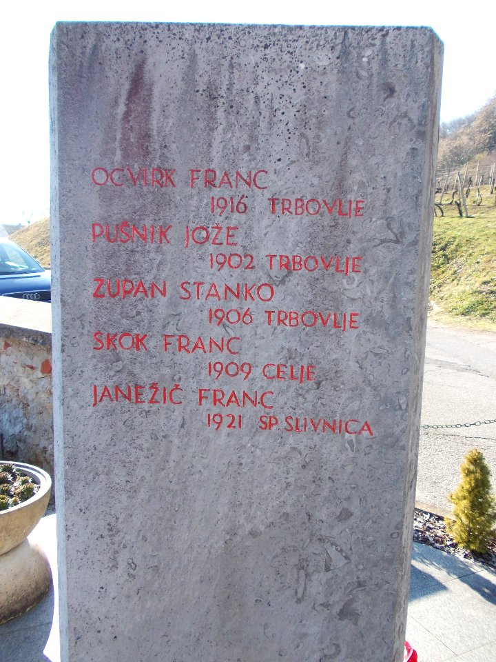 Partisan Monument in Pišece Cemetery 05