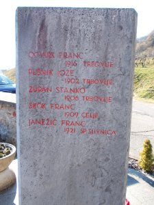 Partisan Monument in Pišece Cemetery 05