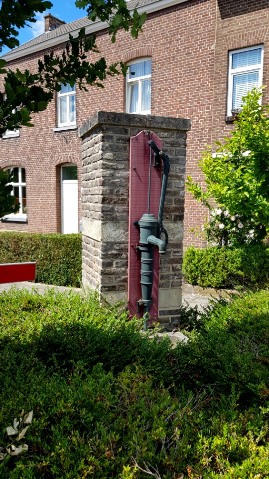 Partij-Waterpomp (7)