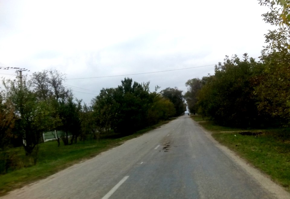 PartizaniKir 9