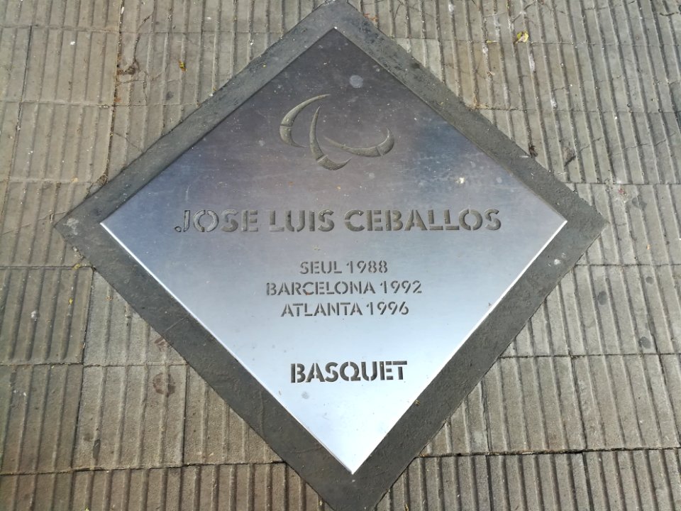 Paseo de los Olímpicos Rosario 2019 137