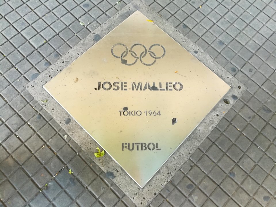 Paseo de los Olímpicos Rosario 2019 23