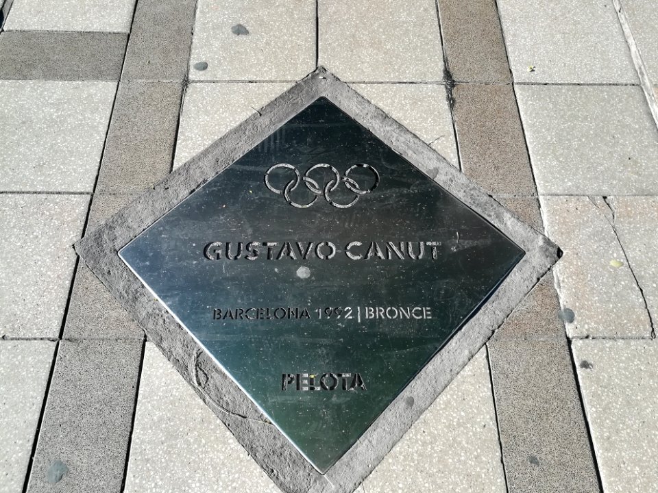Paseo de los Olímpicos Rosario 2019 45
