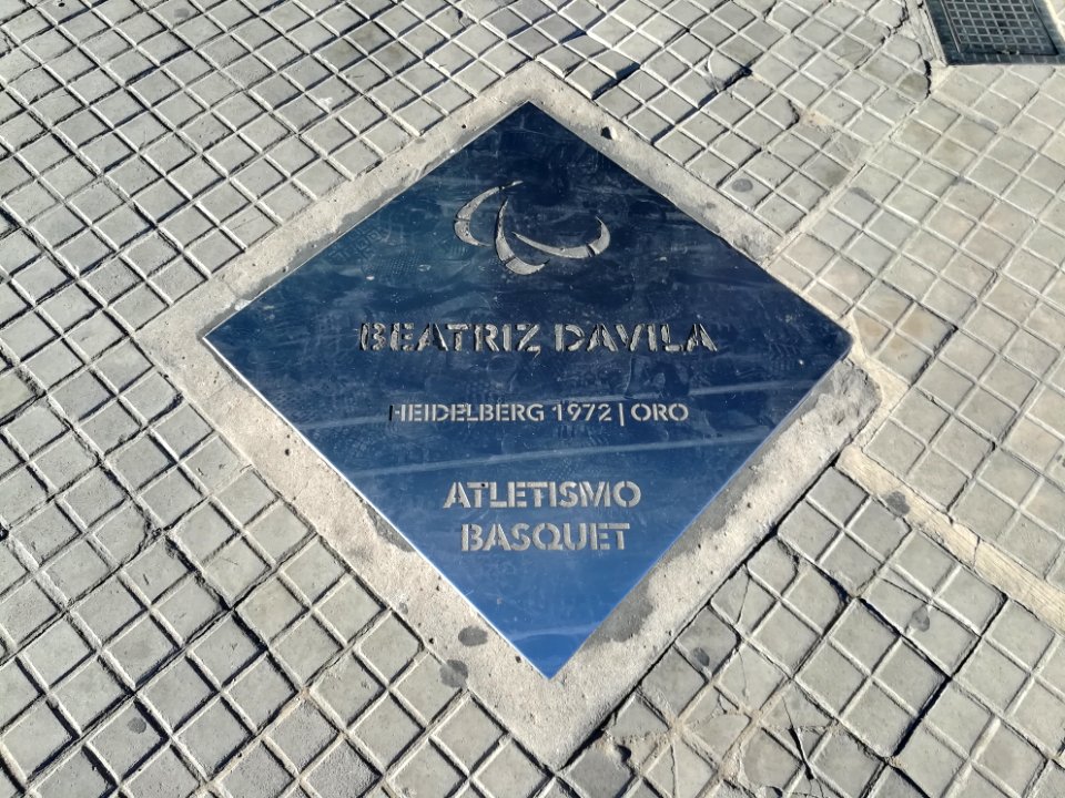Paseo de los Olímpicos Rosario 2019 32